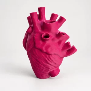 Vaso a cuore anatomico in PLA magenta, vista frontale su fondo chiaro